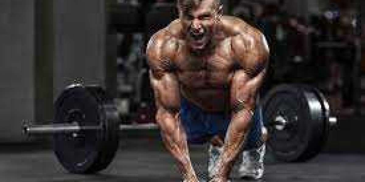 Best Testosterone Booster: Top 6 Testosterone Supplements for Men in 2022