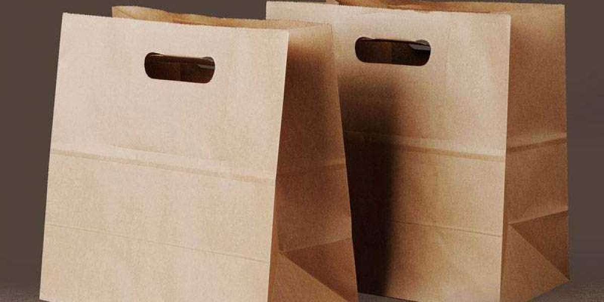 Global Paper Bags Market Size, Share & Trends Analysis Report By Segmentations & Forecasts 2022 – 2030