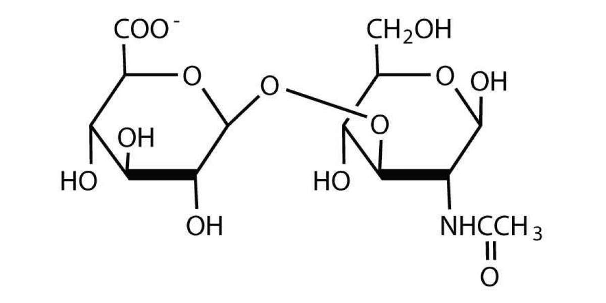 Global Galactose Market Size, Share & Trends Analysis Report By Segmentations & Forecasts 2022 – 2030