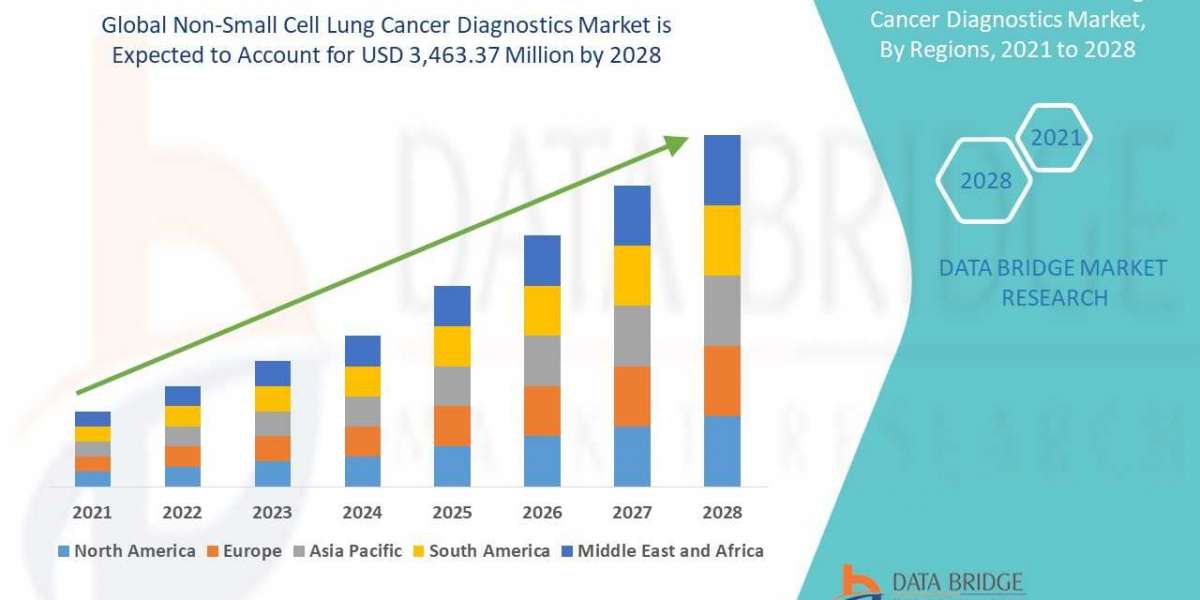 Non-Small Cell Lung Cancer Diagnostics Market Business Outlook
