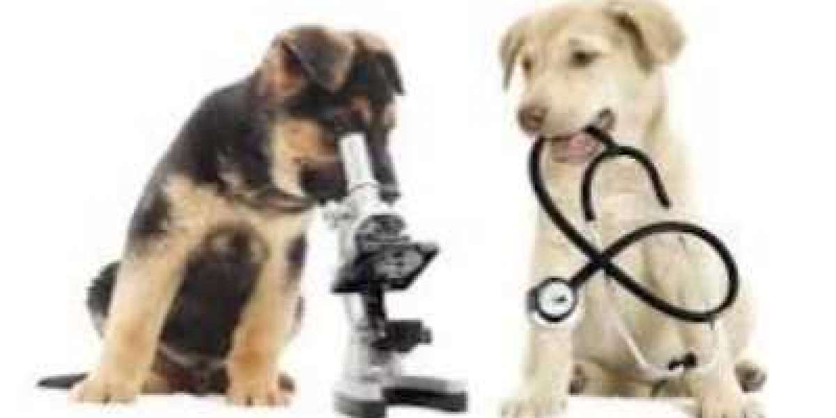 Veterinary Diagnostics Market Size worth USD 3,682.1 Million by 2028