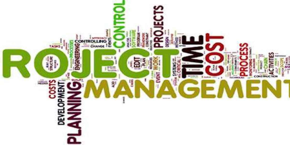 Project Management Assignment Help: A Solution to End Your Worries